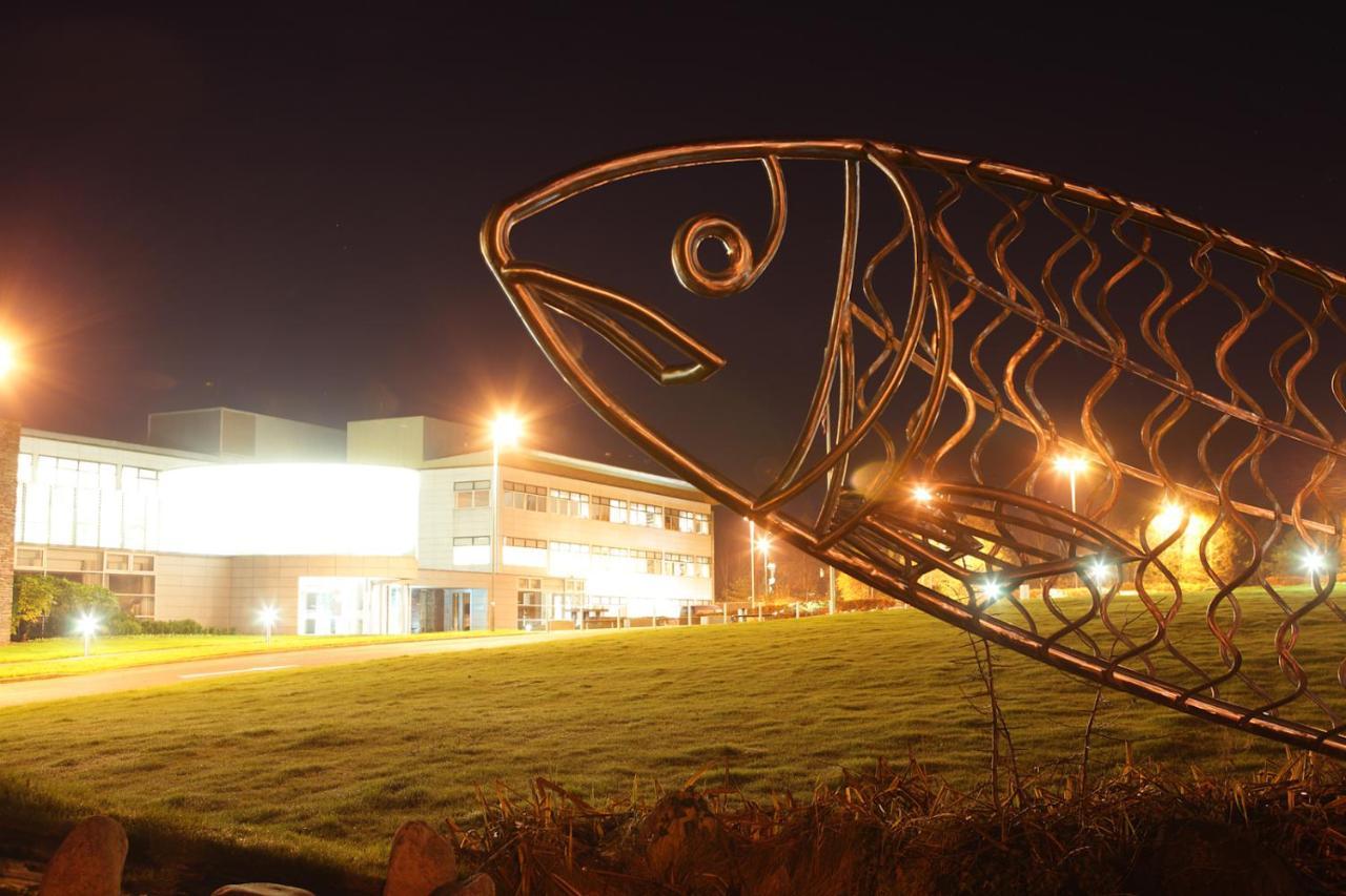 Causeway Holiday Homes Coleraine Extérieur photo